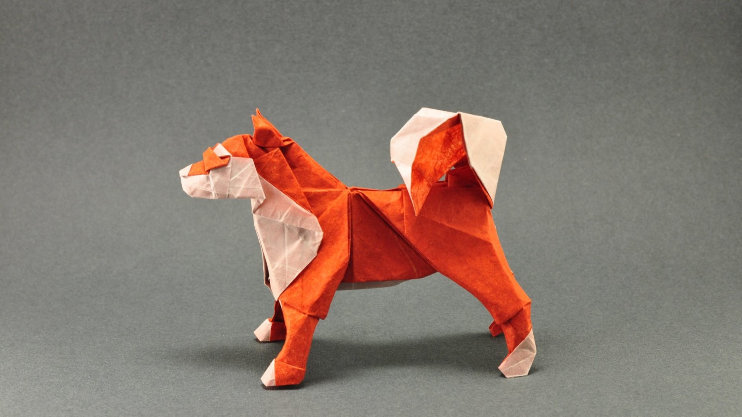 本地搭建网站IP访问统计