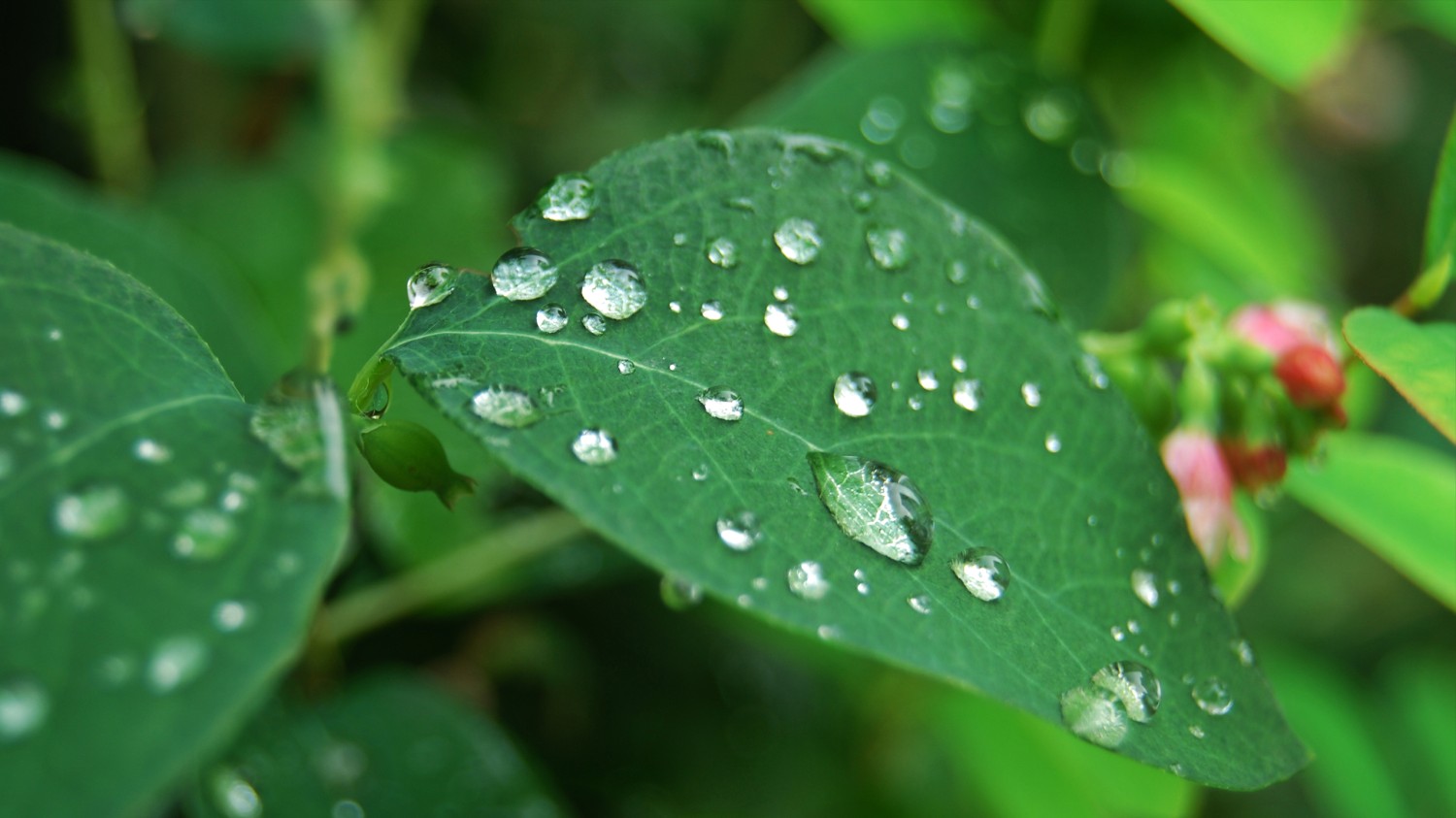 开源简易站点统计2.0