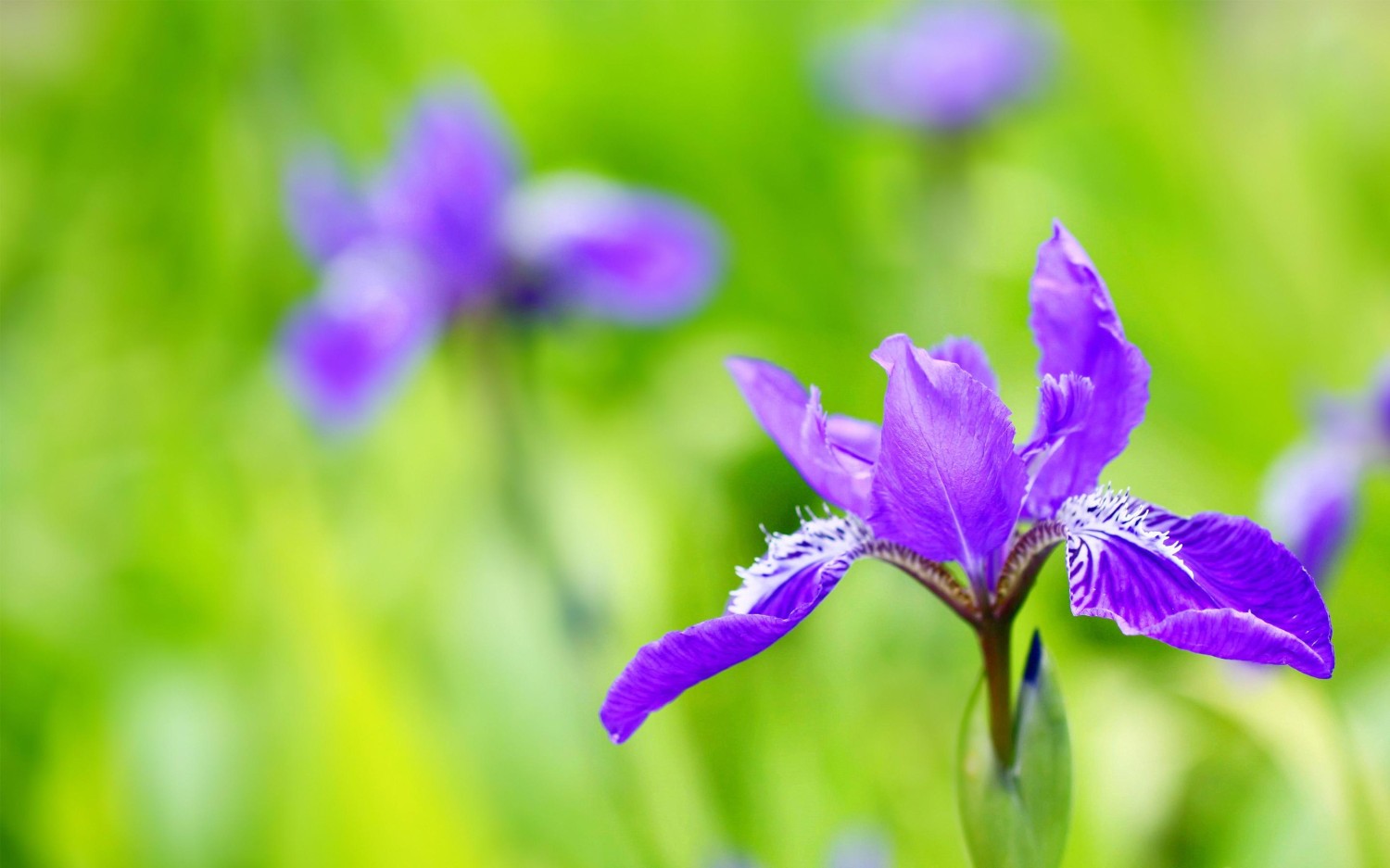 搭建个人防盗链图床
