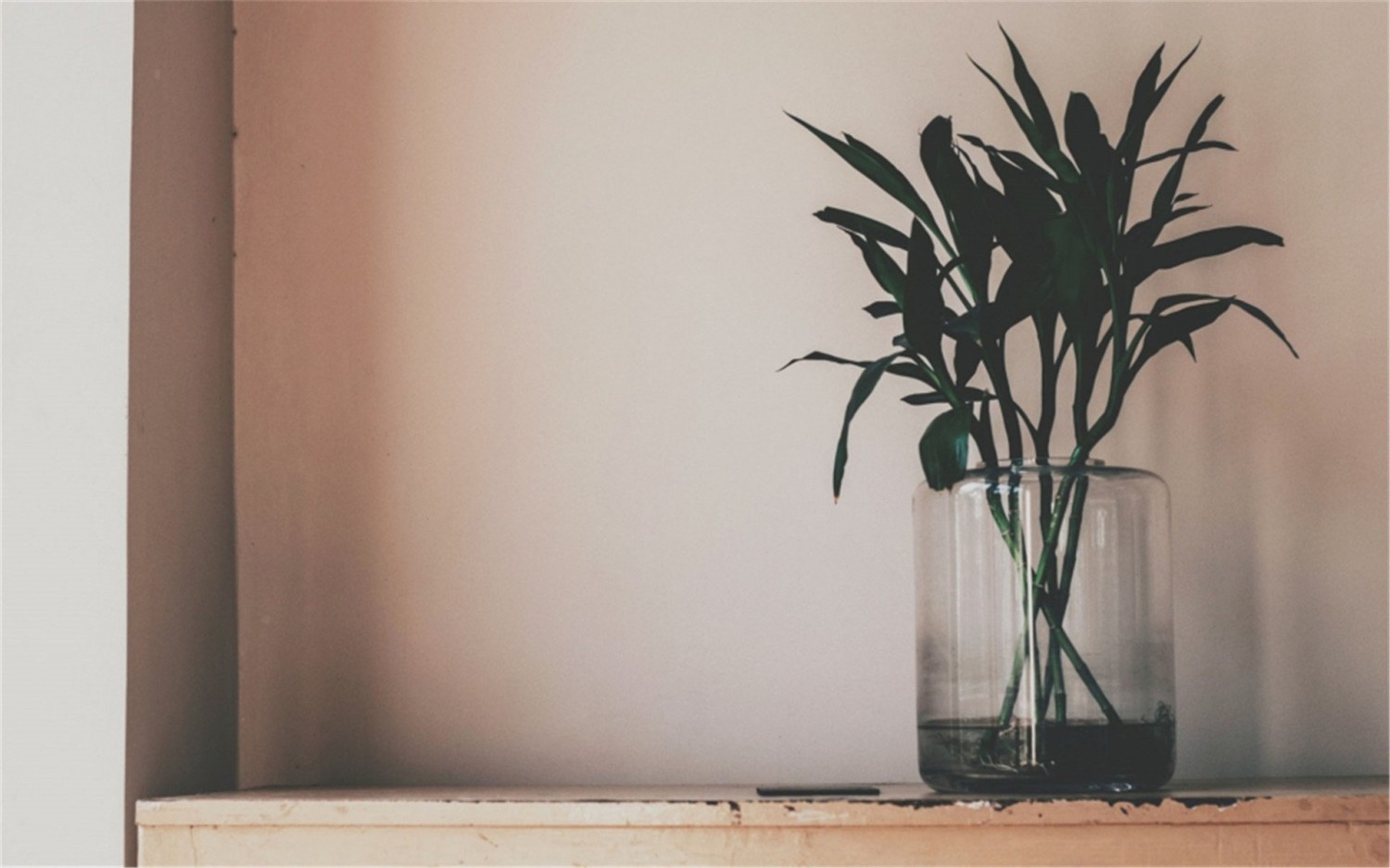 Windows Server 2022自动登录设置