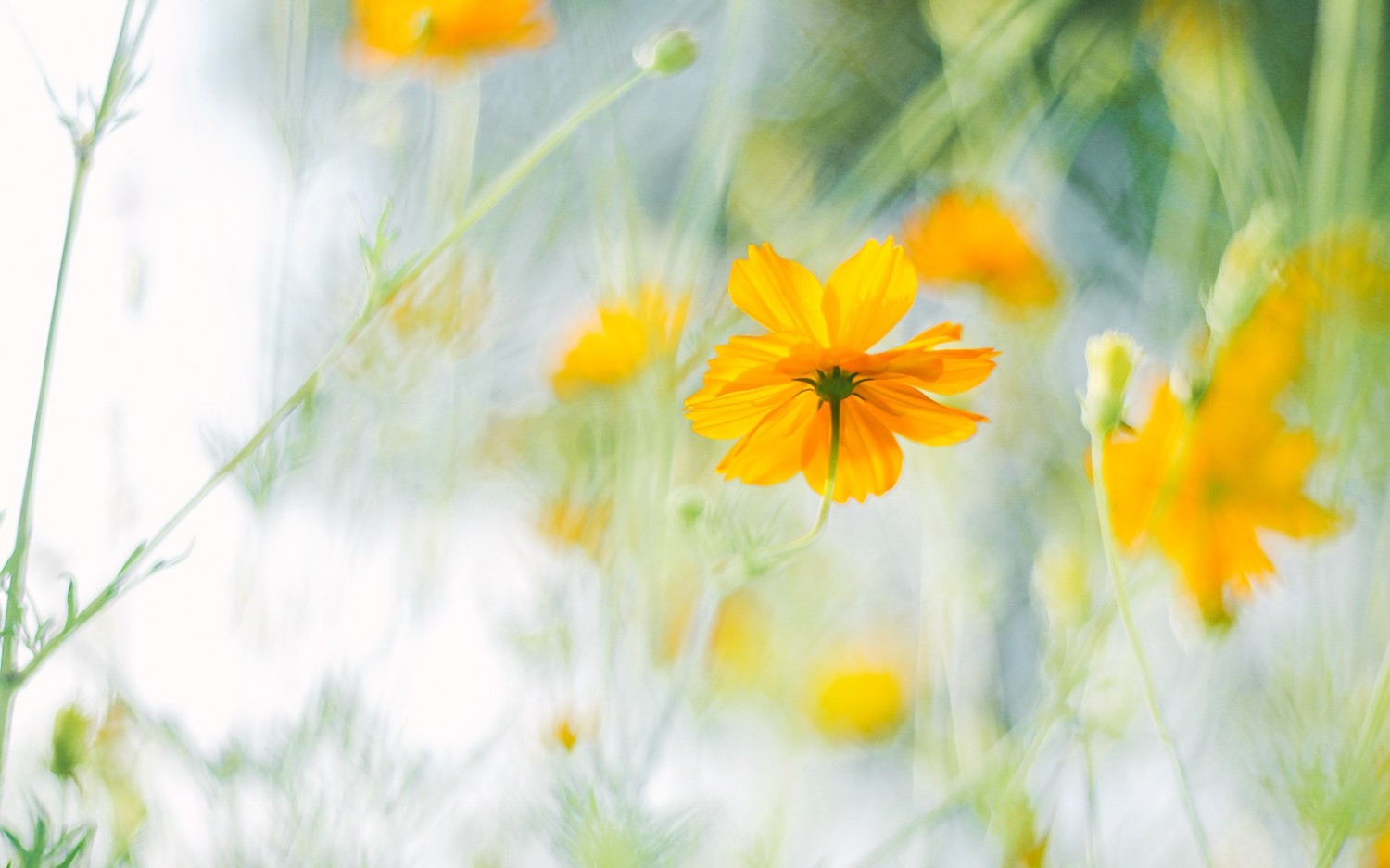 本地搭建网站IP访问统计