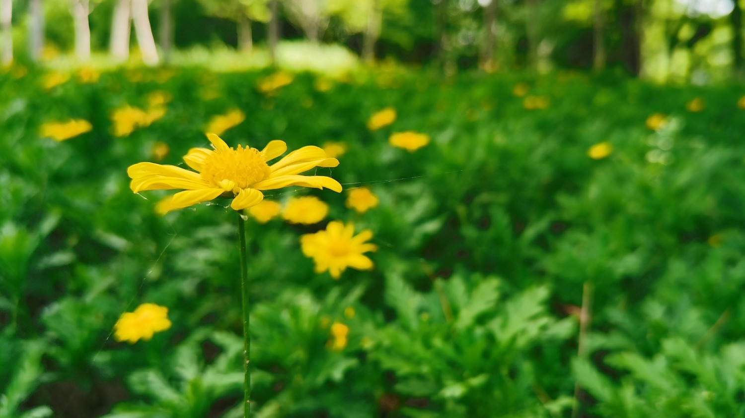 windows共享修复之sbm协议