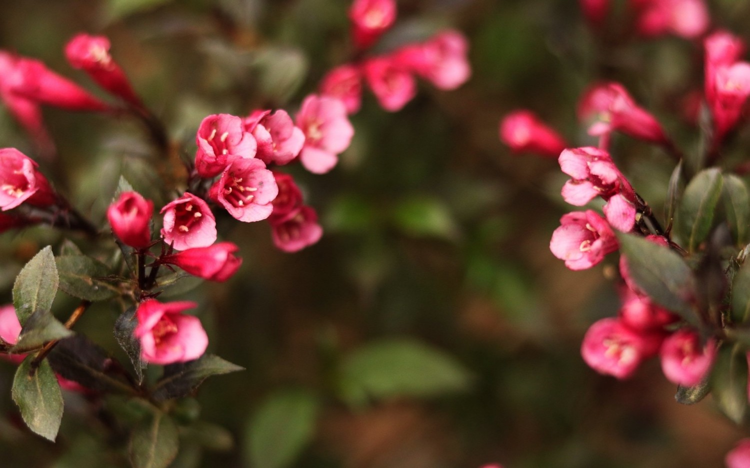 开源简易站点统计2.0