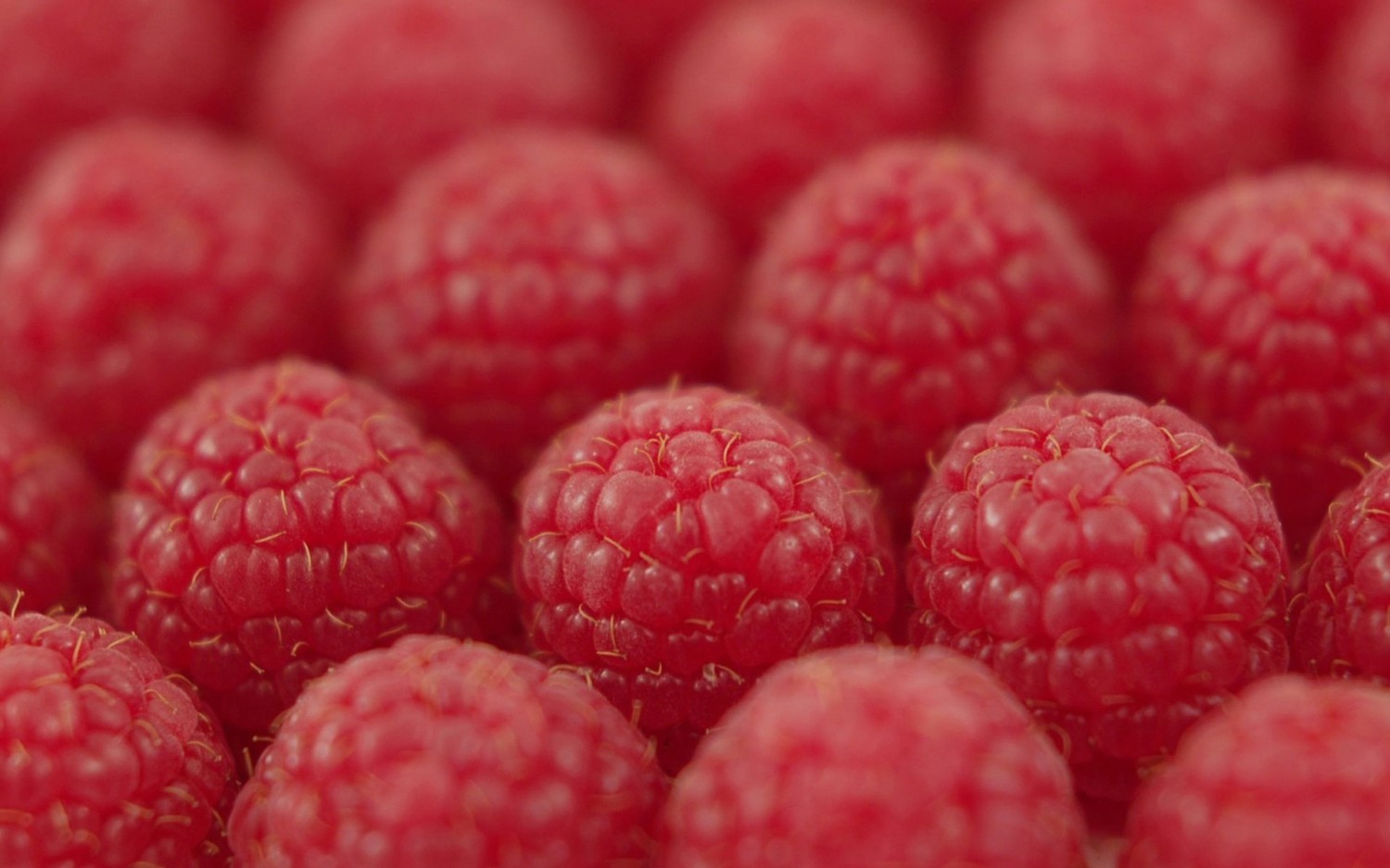 本地搭建网站IP访问统计