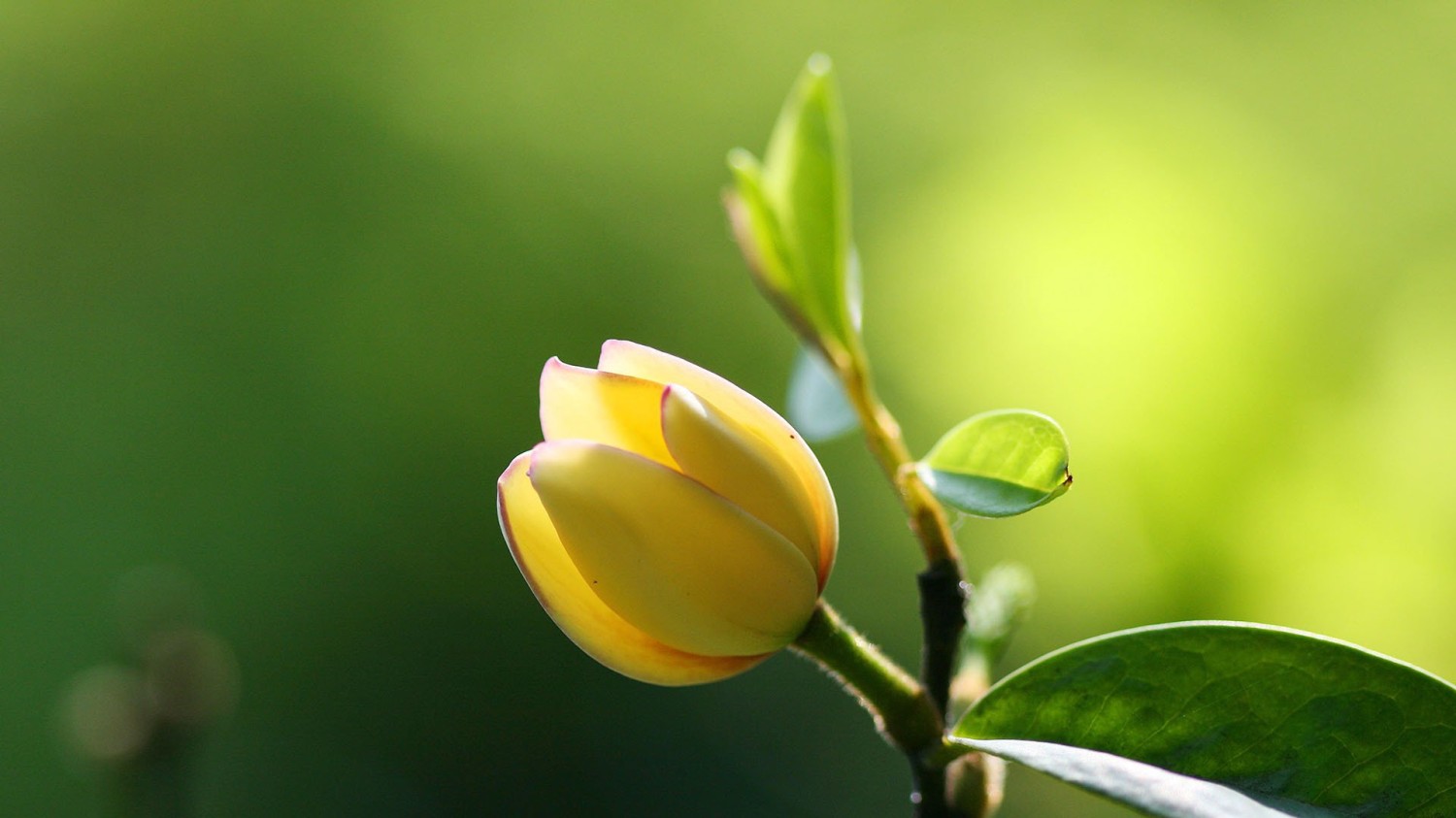 vericut9.0.1安装教程