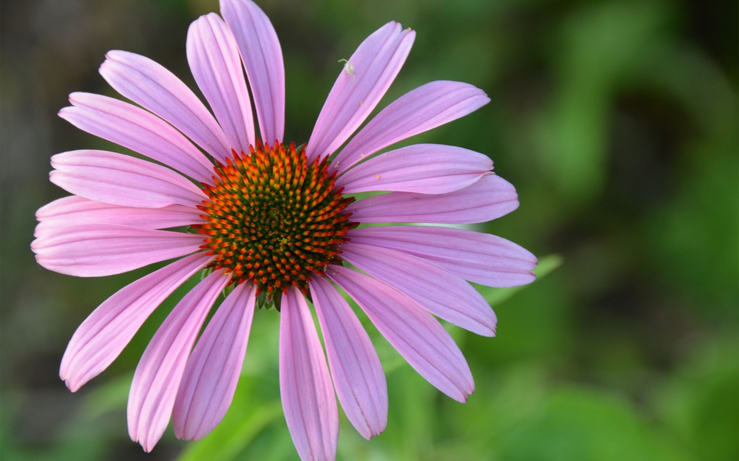 开源简易站点统计2.0