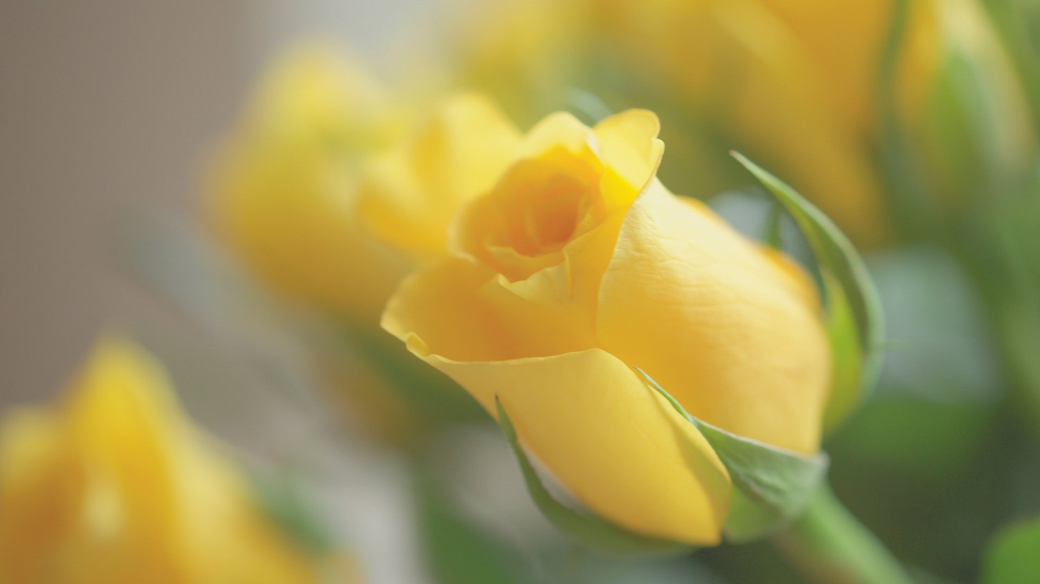 开源简易站点统计2.0