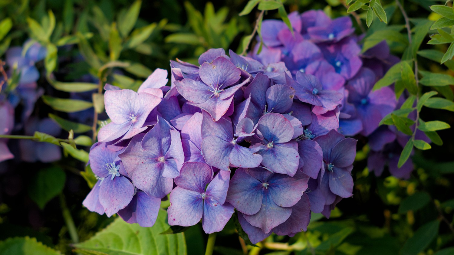 搭建个人防盗链图床