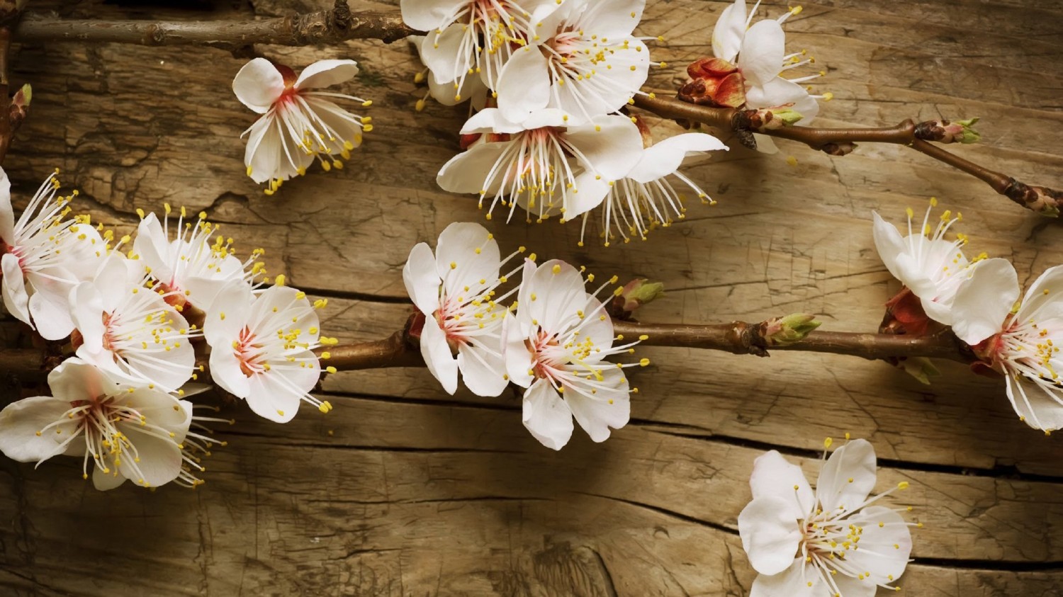本地搭建网站IP访问统计