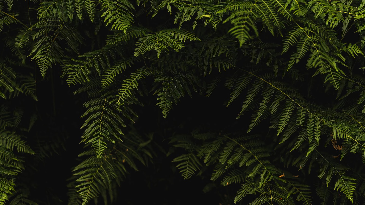 打开TXT，解决，改变读取编码