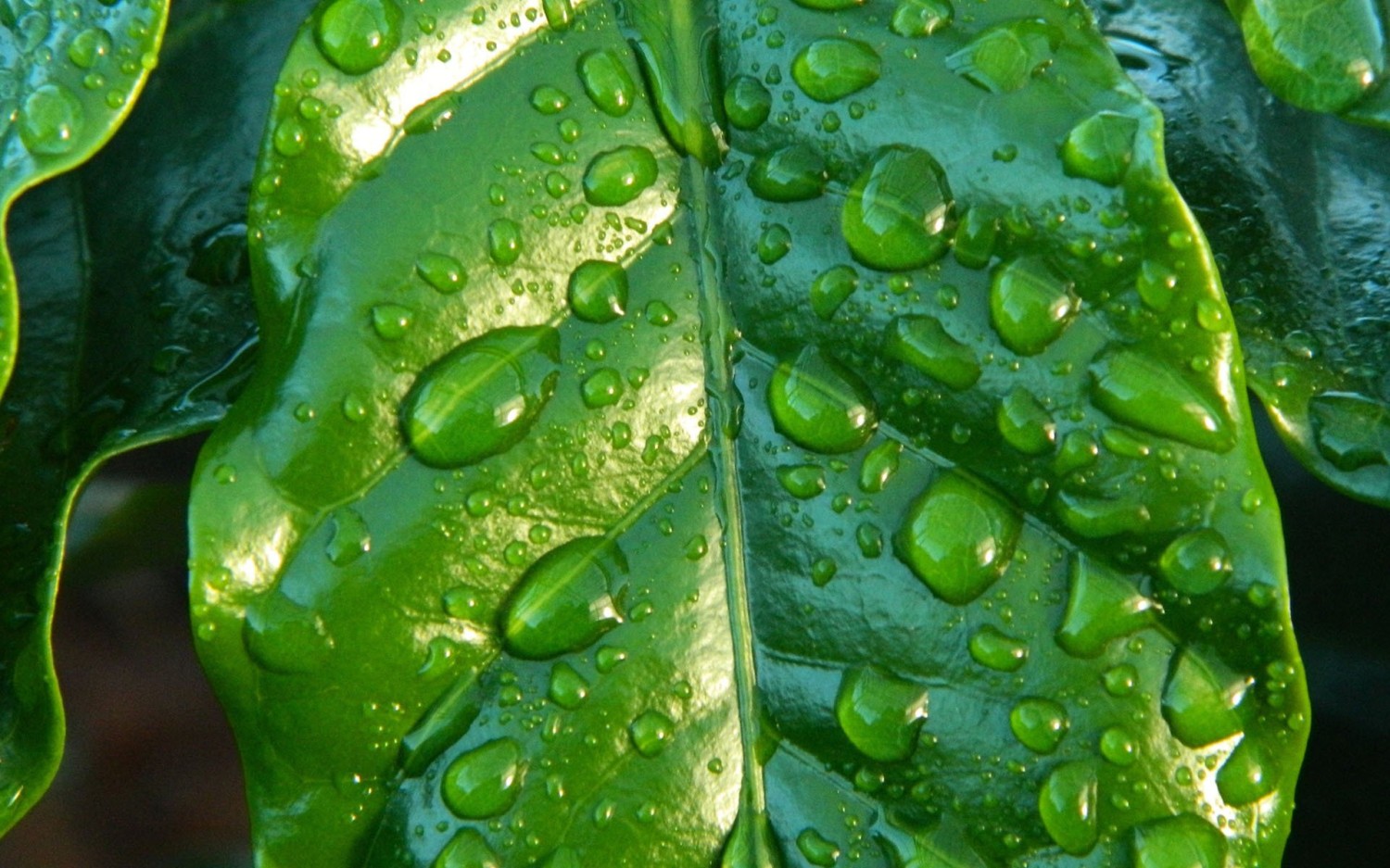 server 2012 2019 2022 没有预览图片