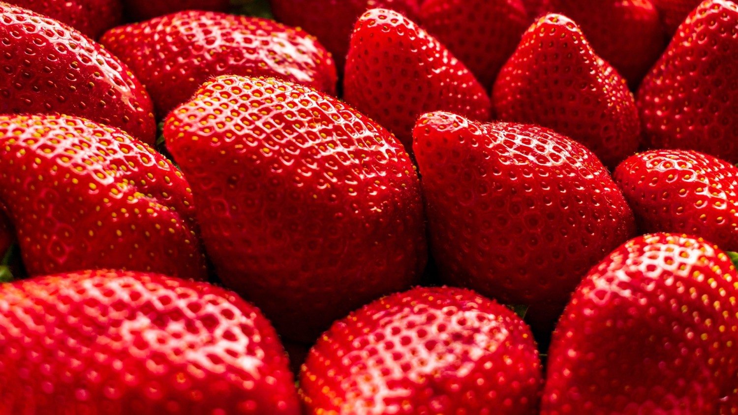 免费Windows神级软