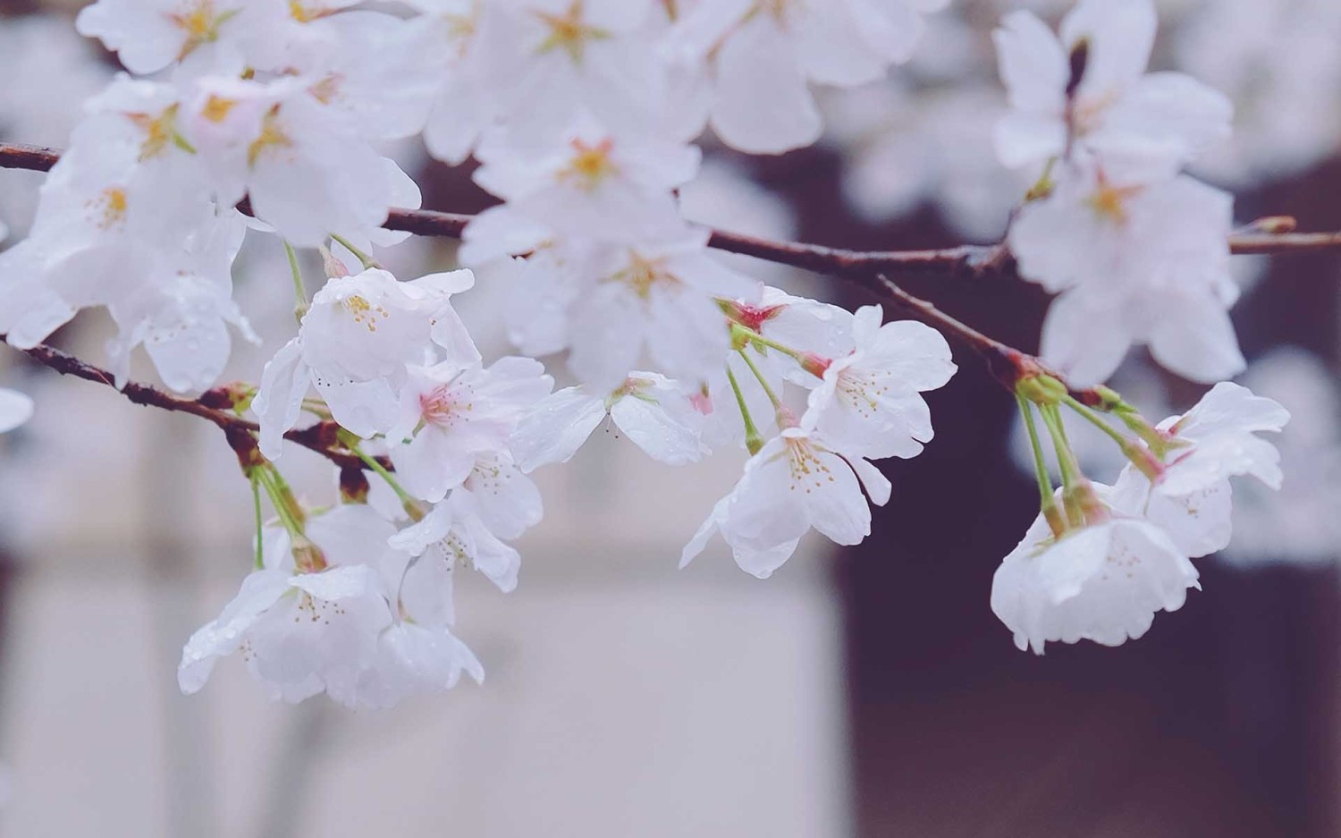 写了一个简易的后台框架模板