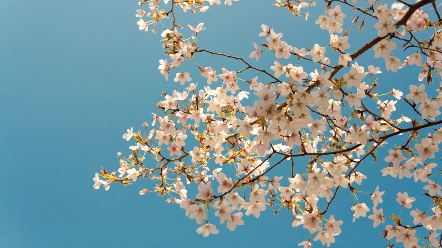 开源简易站点统计2.0