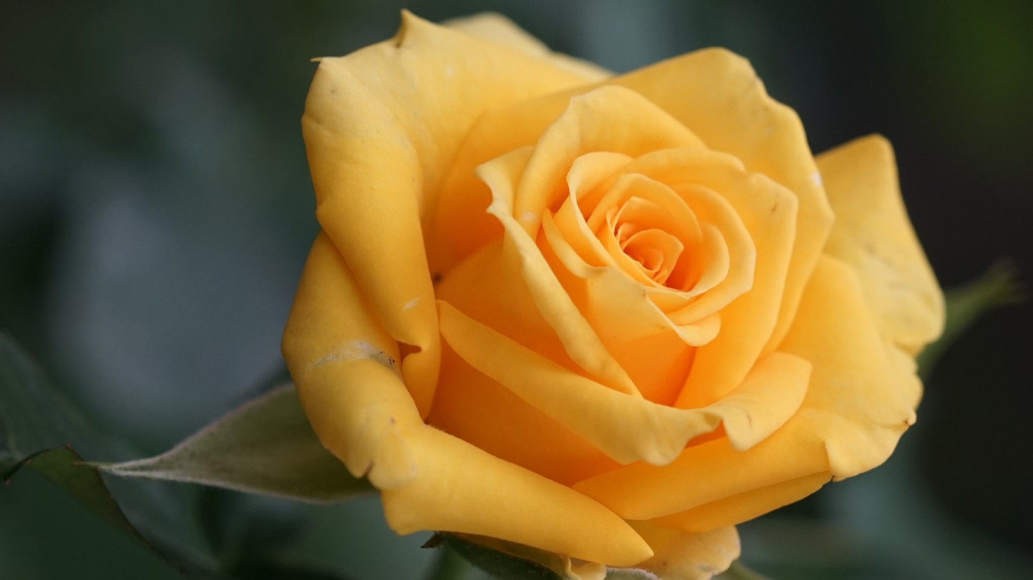 打开TXT，解决，改变读取编码