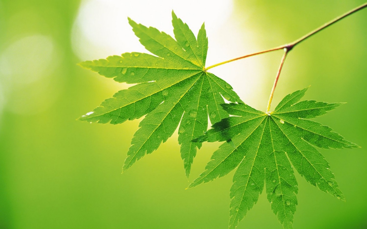 腾讯云,牛逼,爬虫数据采集合法合规!