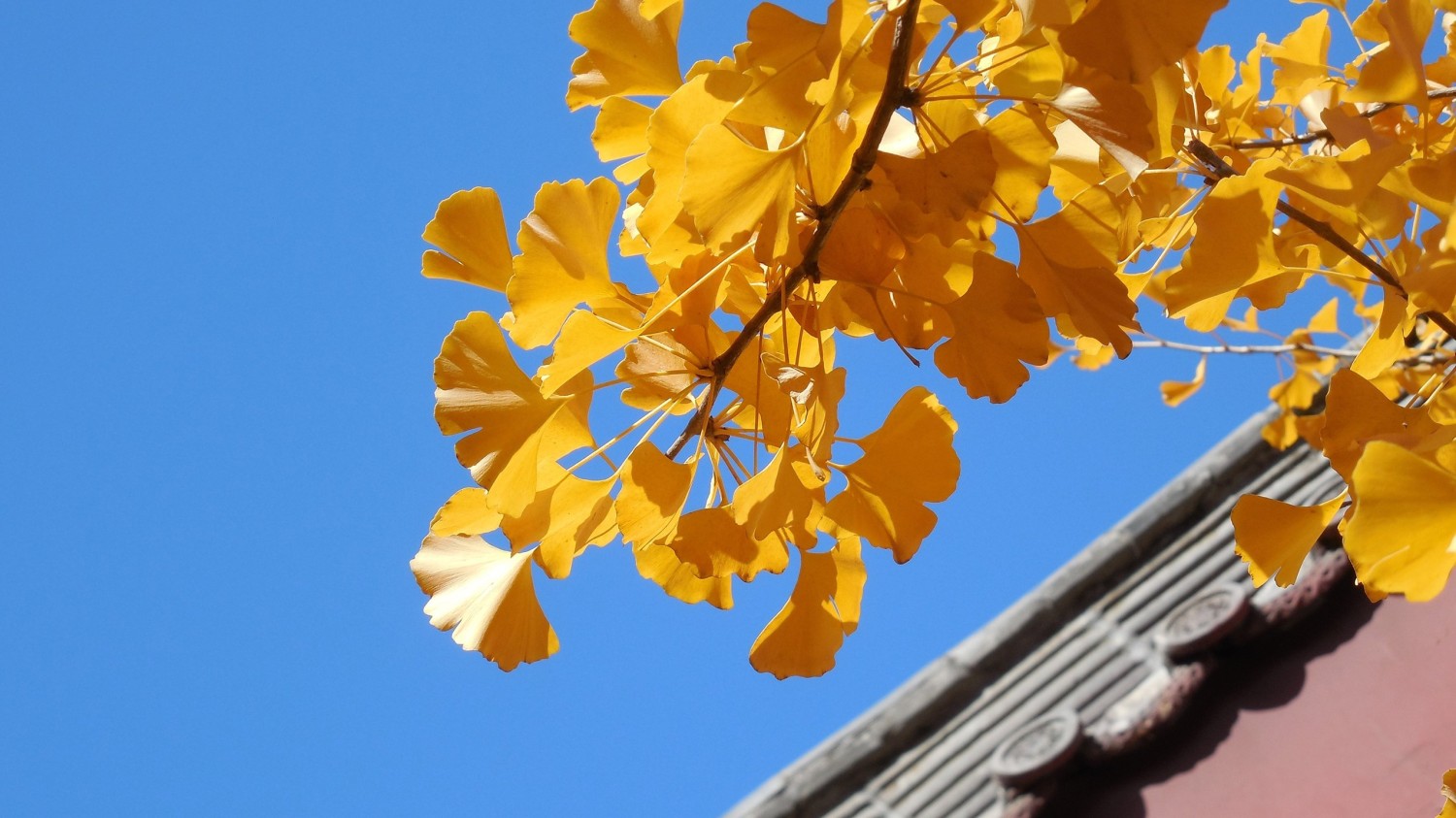 简易文件夹手动加密