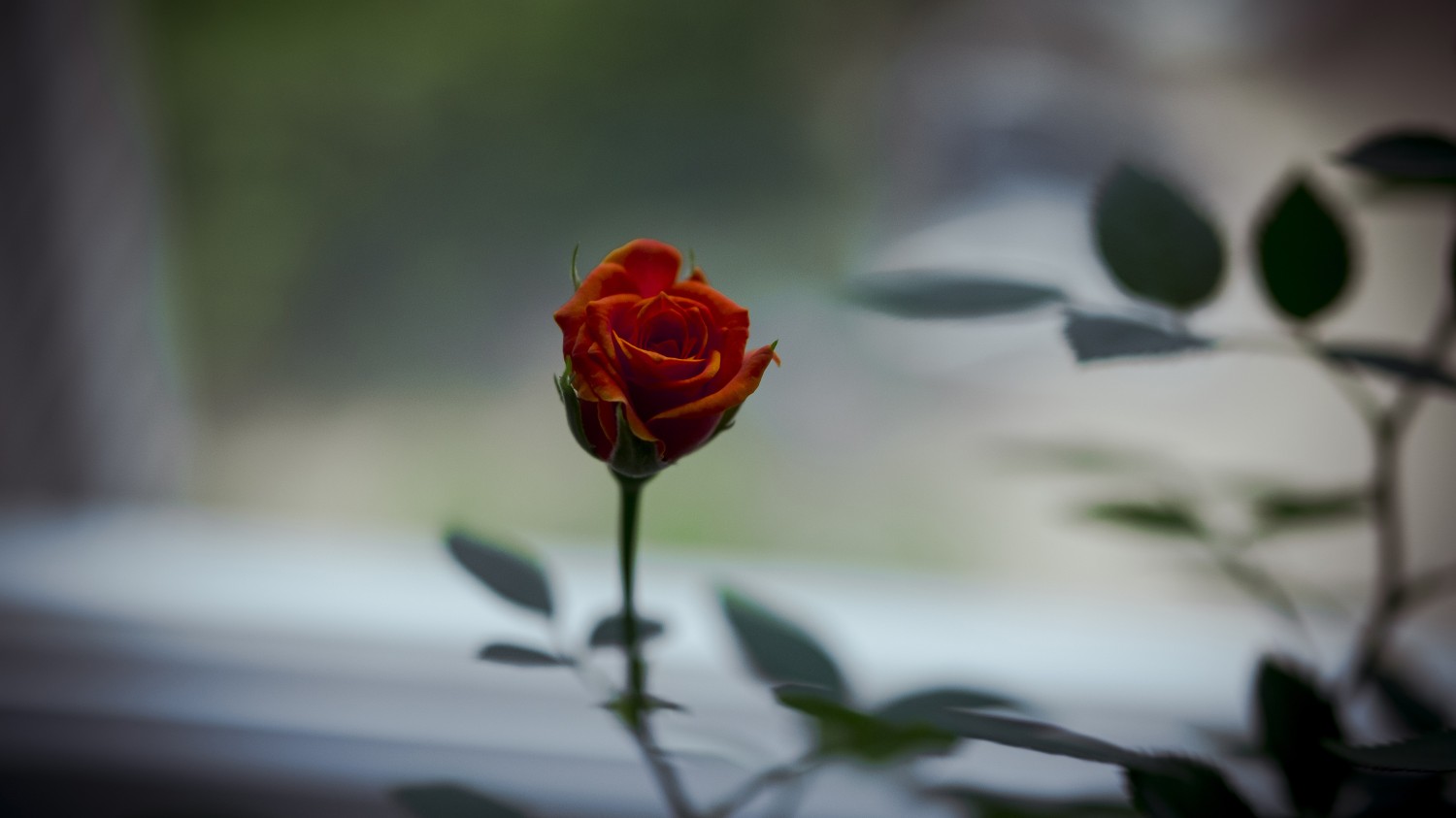 开源分享一个基于Php写的短网址小程序