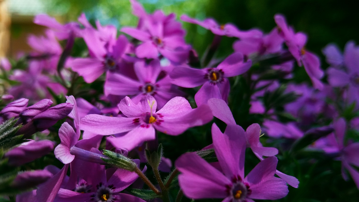 简易文件夹手动加密