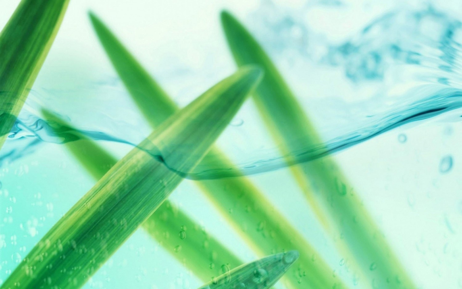 本地搭建网站IP访问统计