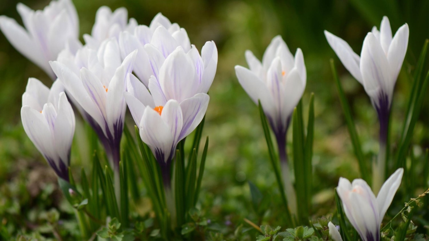 开源简易站点统计2.0