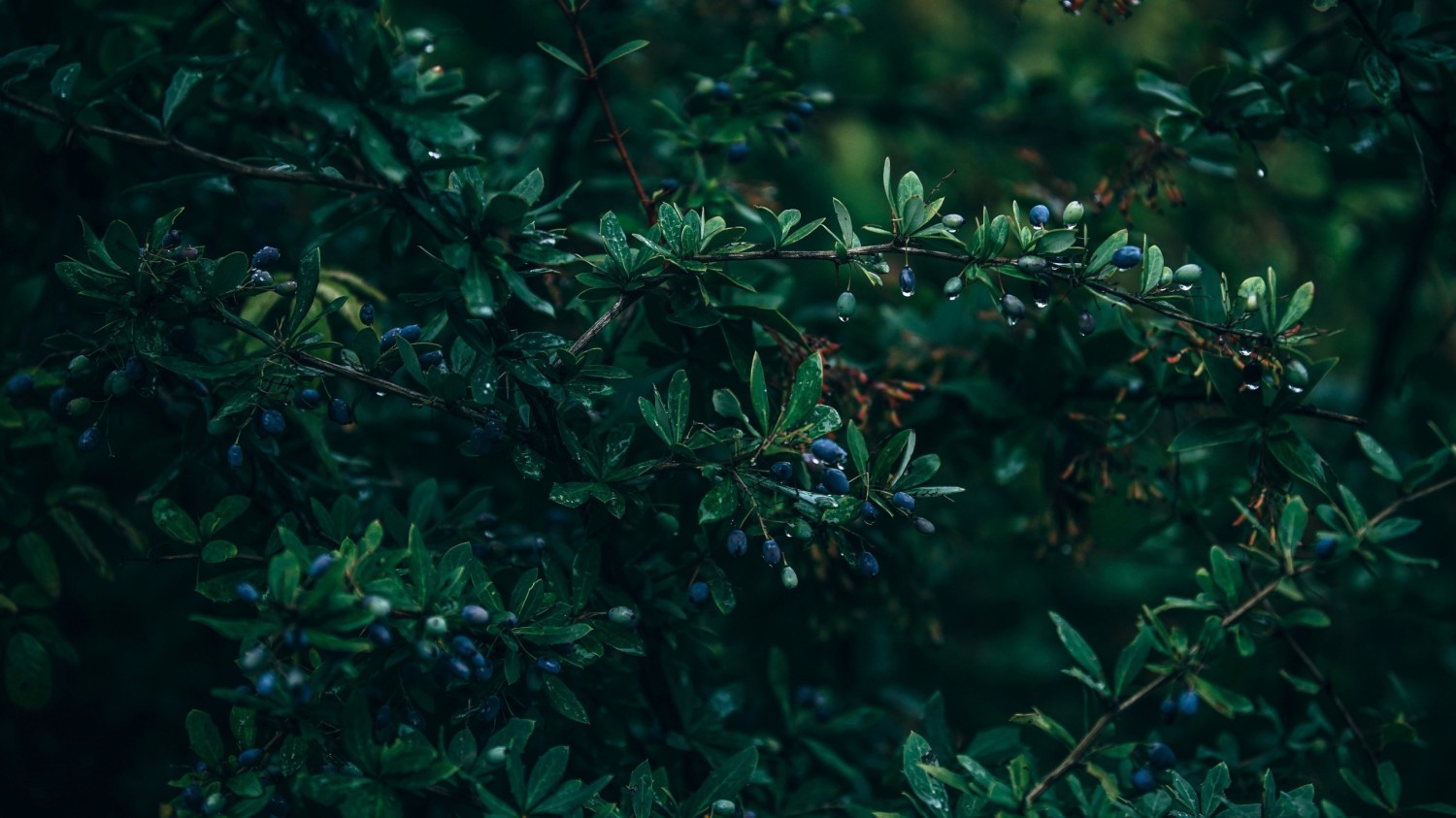 HTML5版本3D电子相册