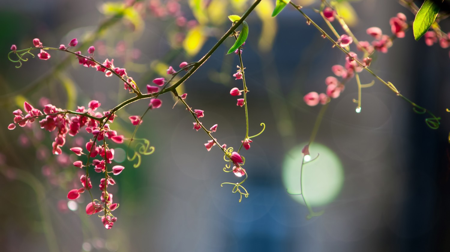 写了一个简易的后台框架模板
