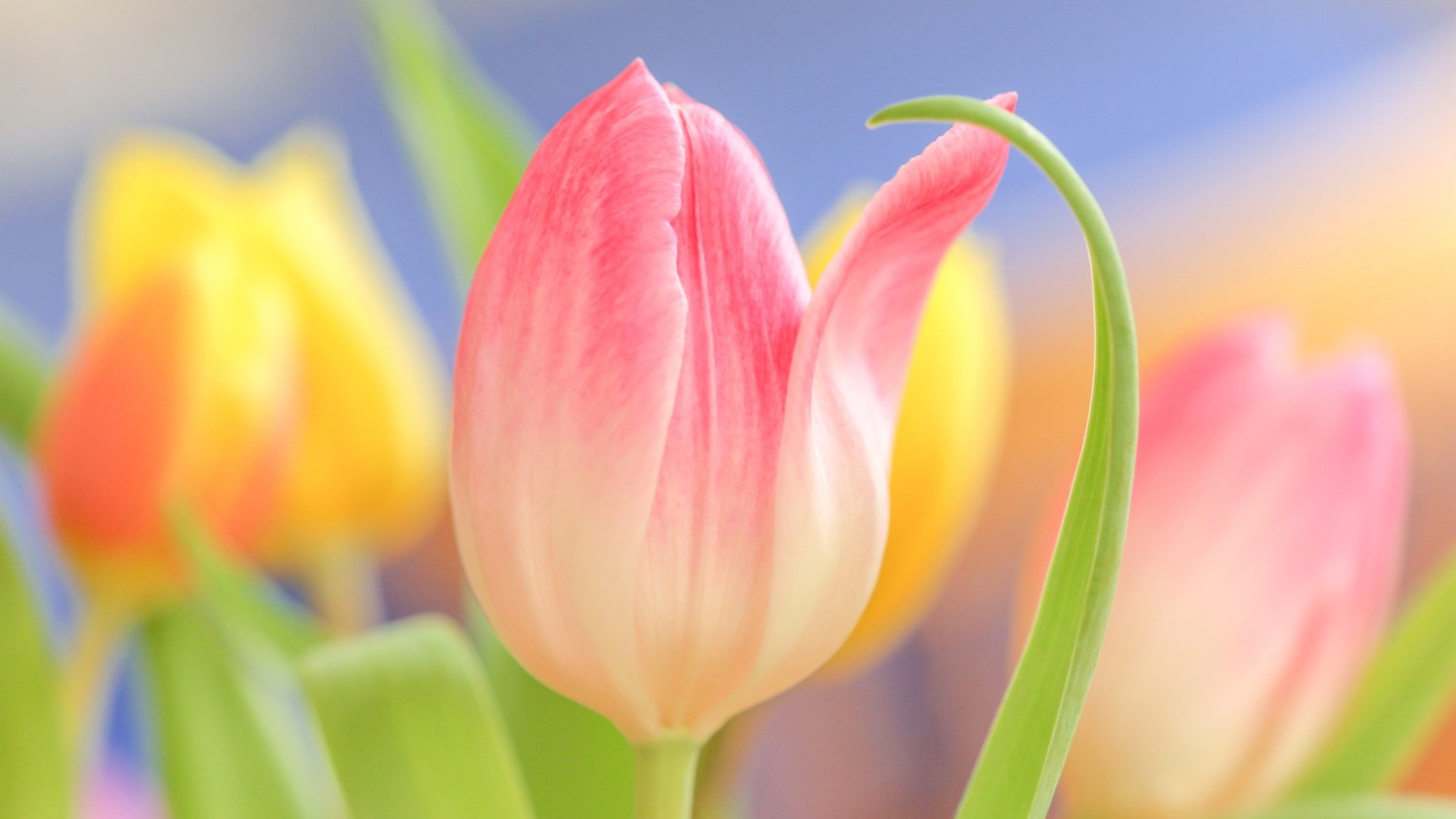 搭建个人防盗链图床