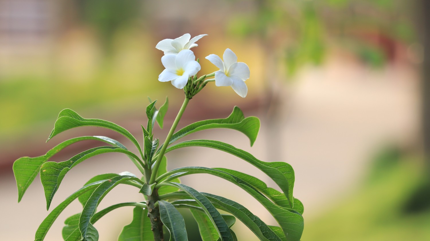 HTML5版本3D电子相册