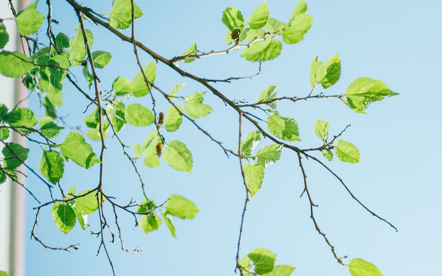 开源简易站点统计2.0