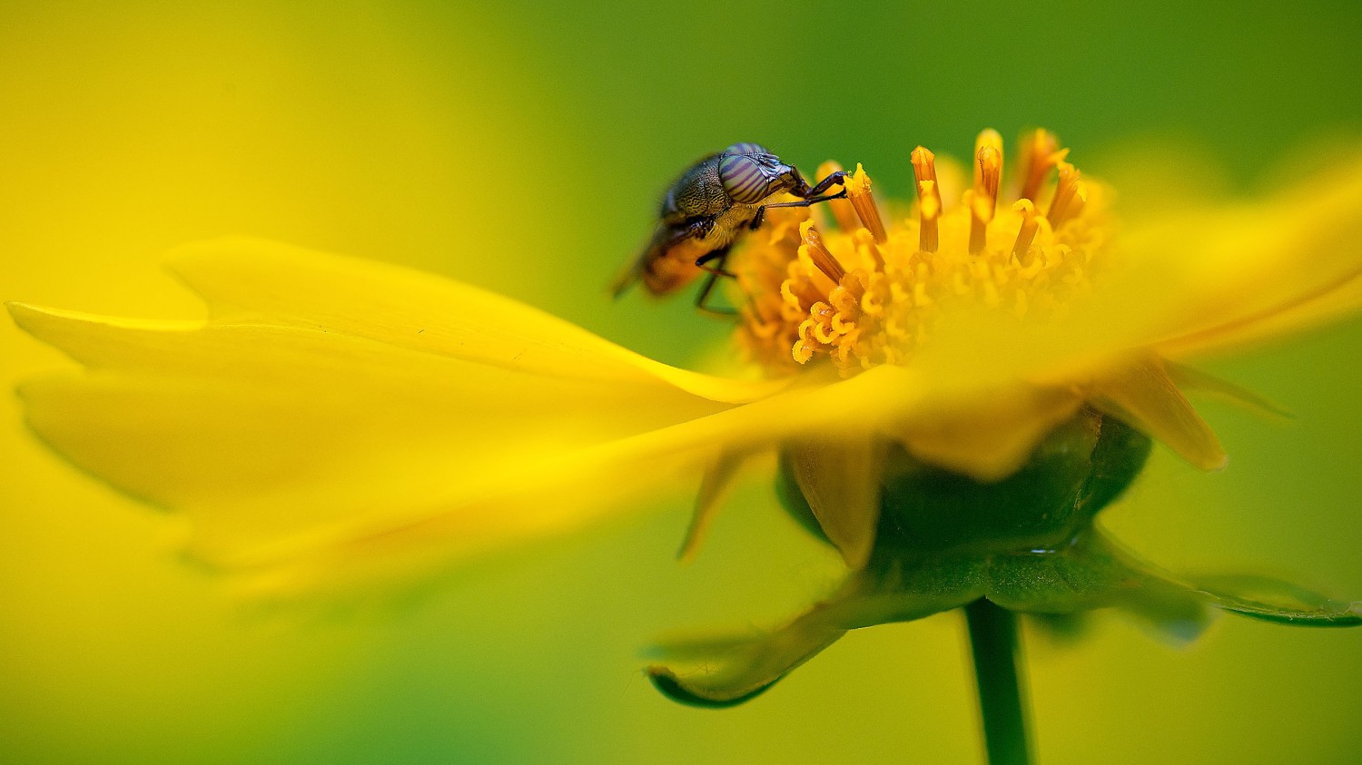 开源简易站点统计2.0