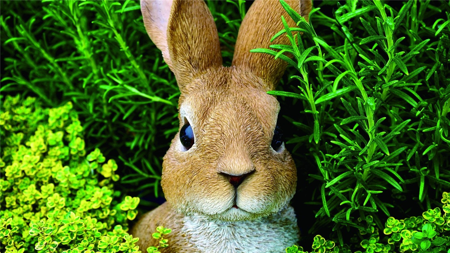 本地搭建网站IP访问统计