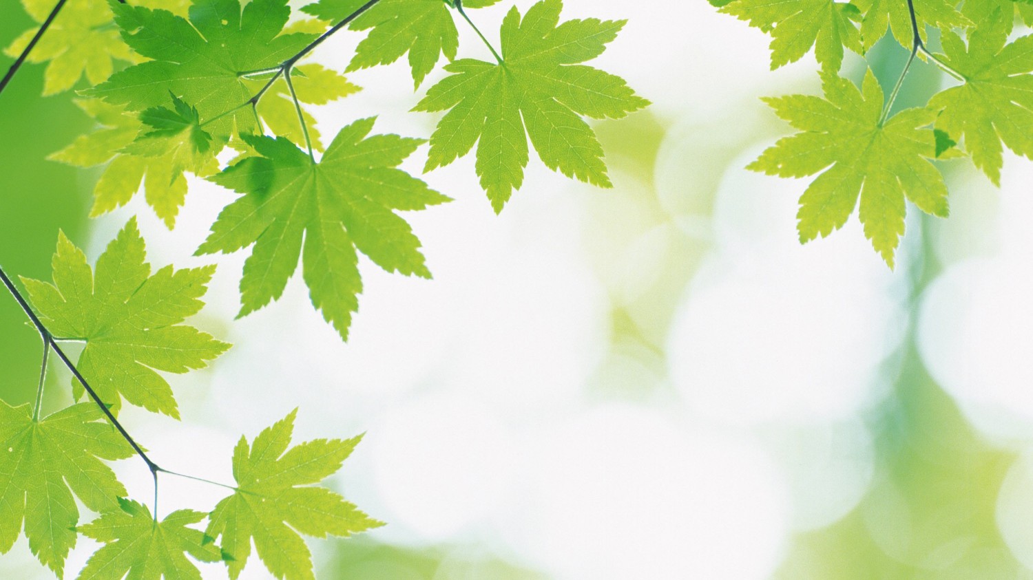 windows共享修复之sbm协议