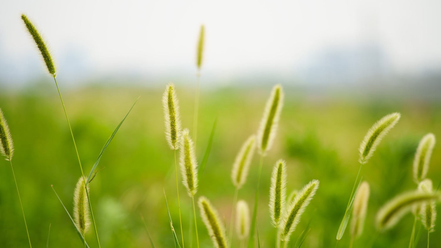 打开TXT，解决，改变读取编码