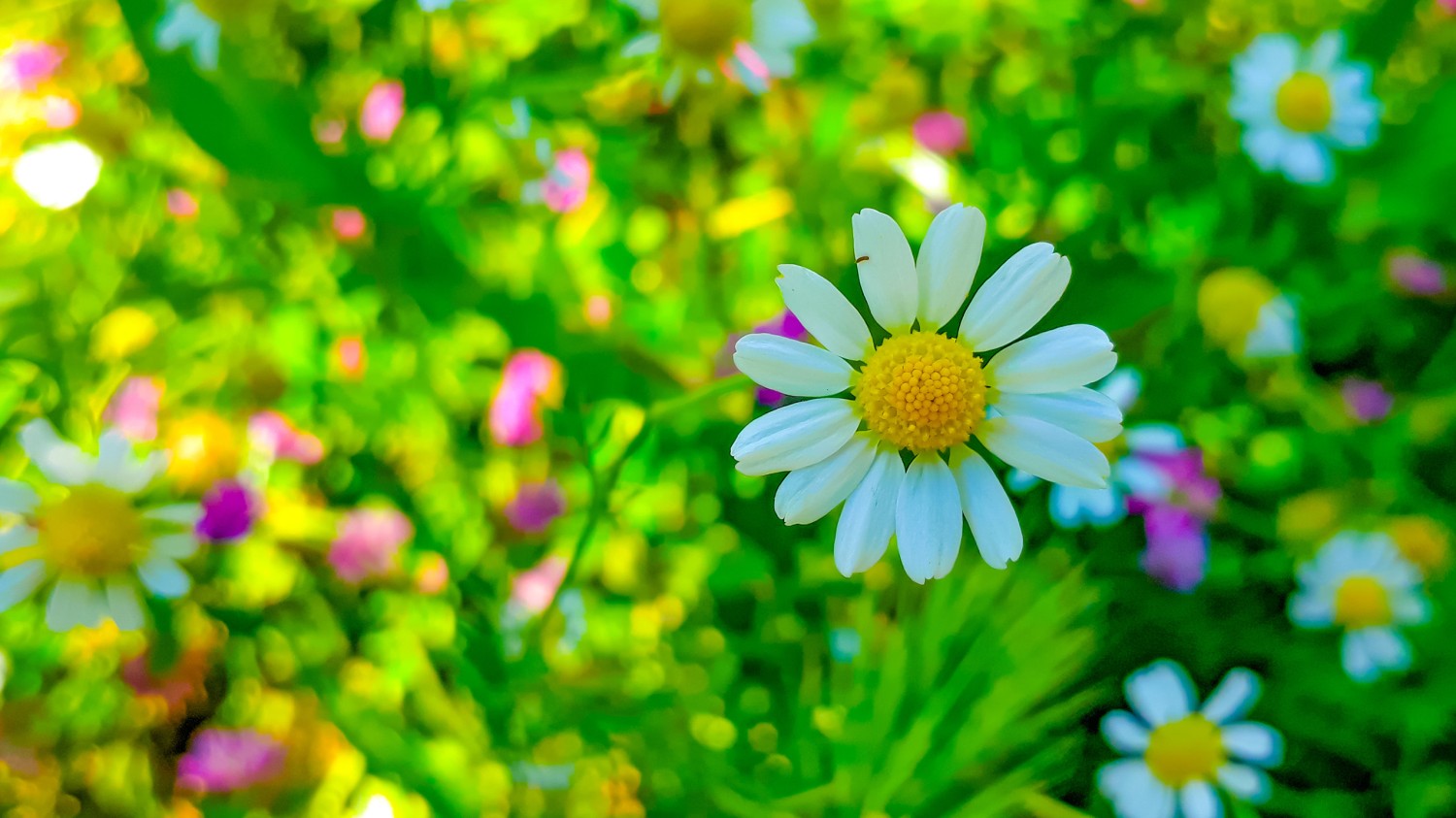 Windows Server 2022自动登录设置