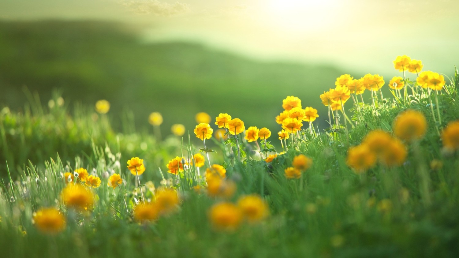 使用cmd命令查、修、删、文件 目录