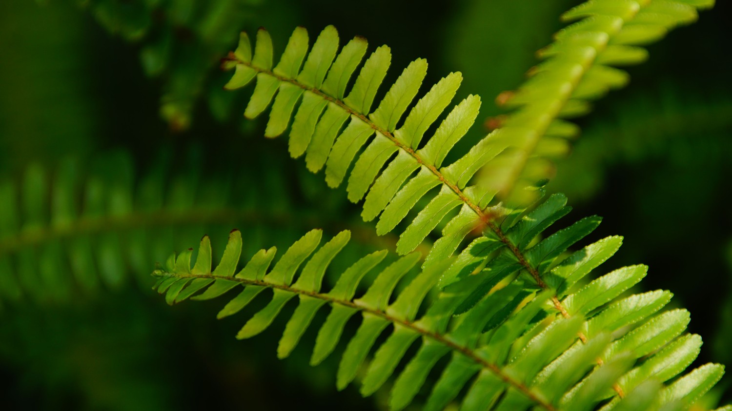 HTML5版本3D电子相册