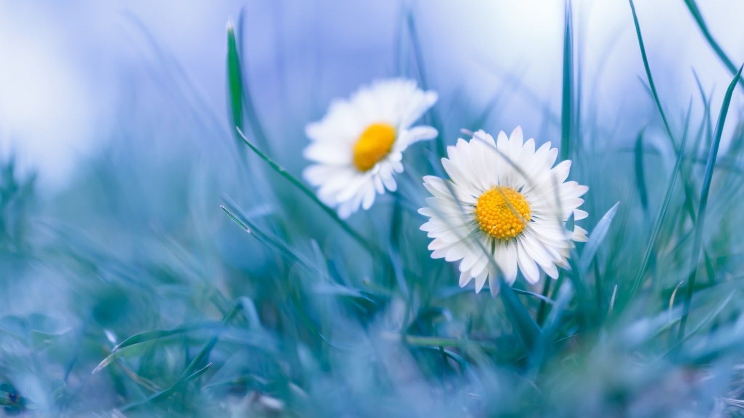 本地搭建网站IP访问统计