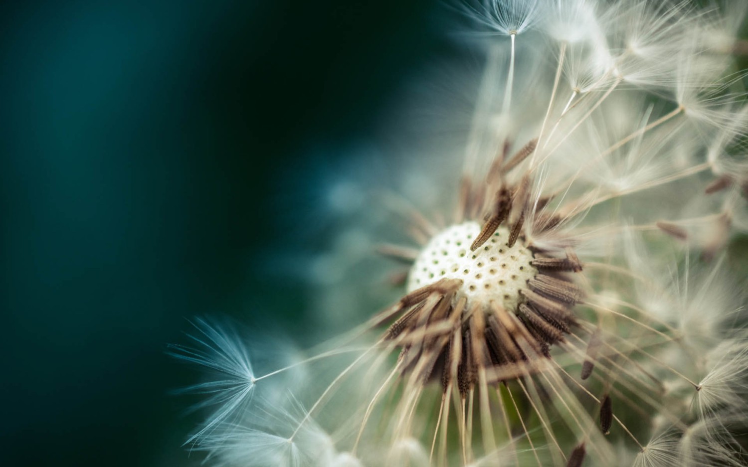 本地搭建网站IP访问统计