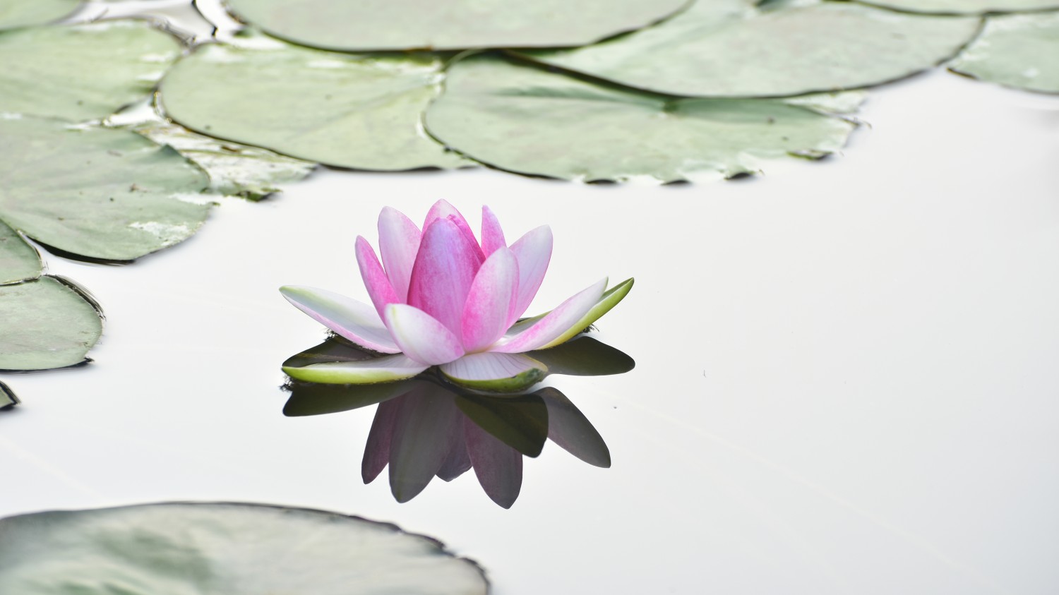 本地搭建网站IP访问统计