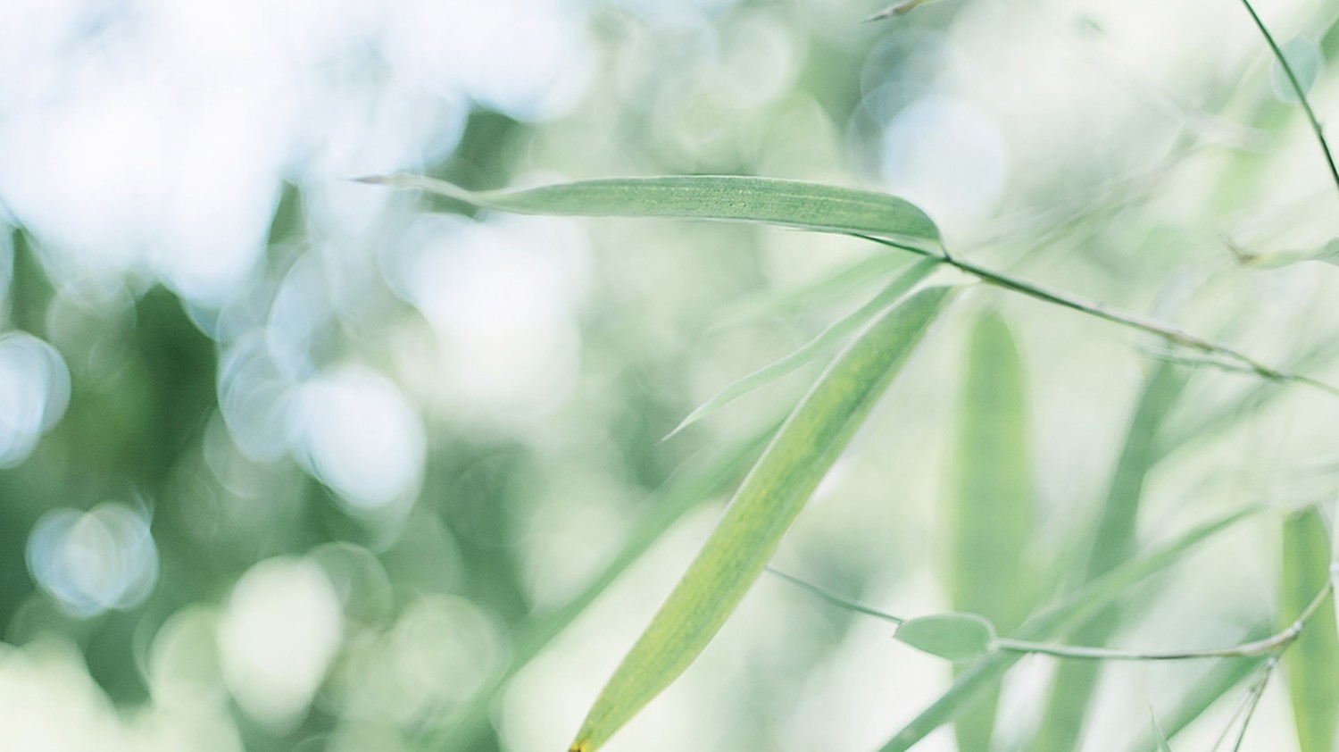 VoluMill自下而上开粗设置方法