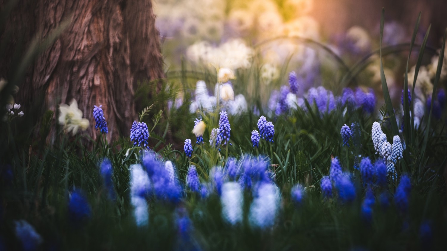 开源简易站点统计2.0