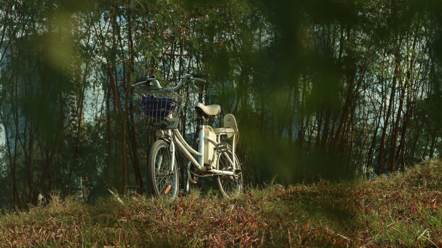 本是后山人，不做前堂客