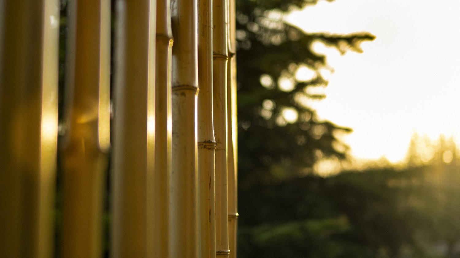 server 2012 2019 2022 没有预览图片