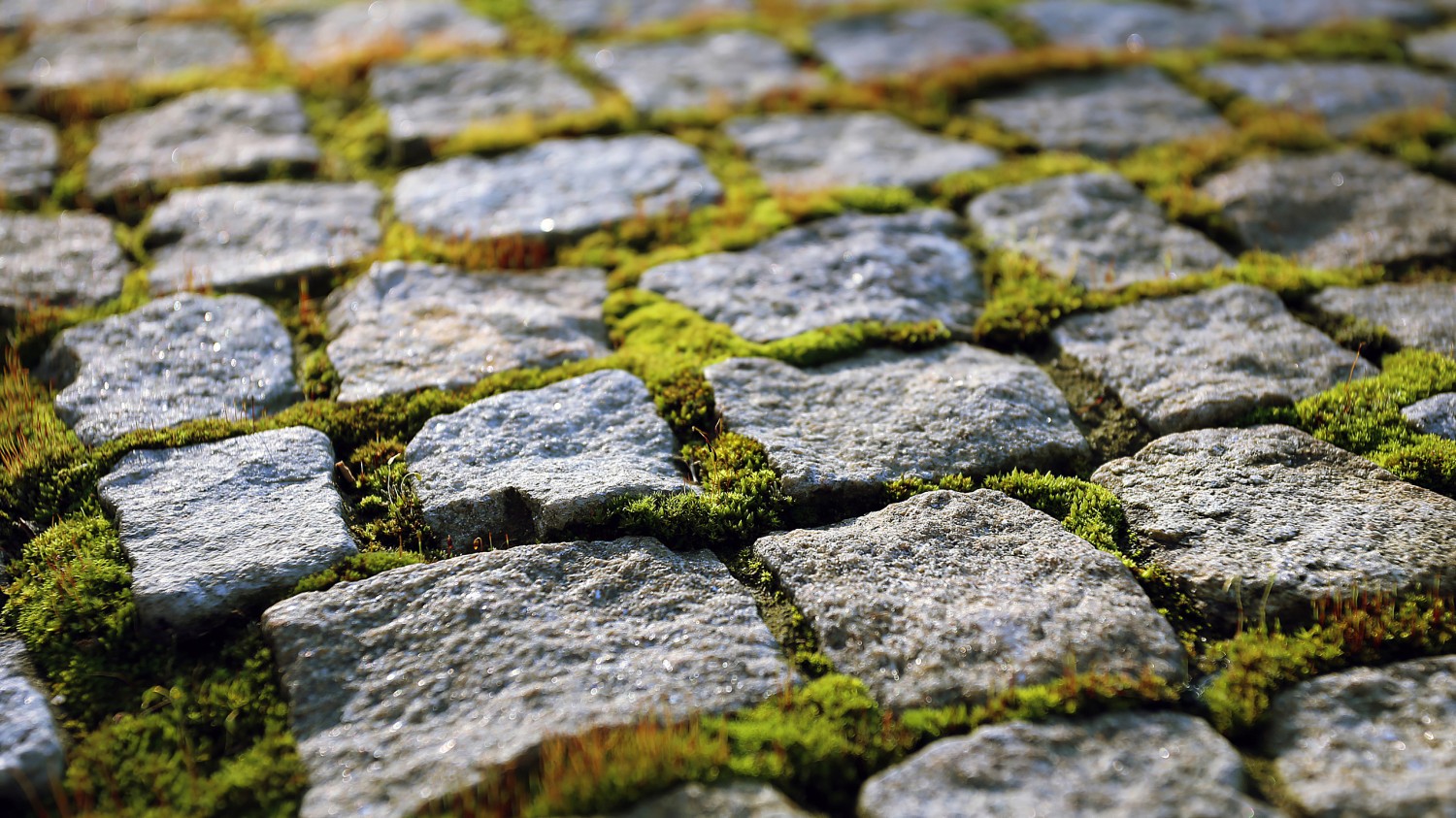 常用的快捷命令