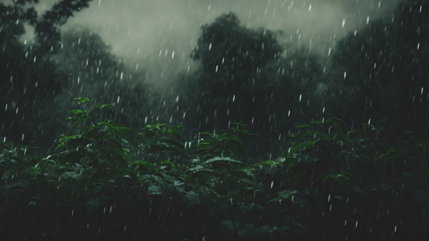 写了两个随机小姐姐视频的Api代码