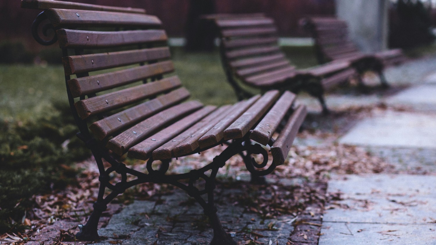 获得文件夹 PATH 列表