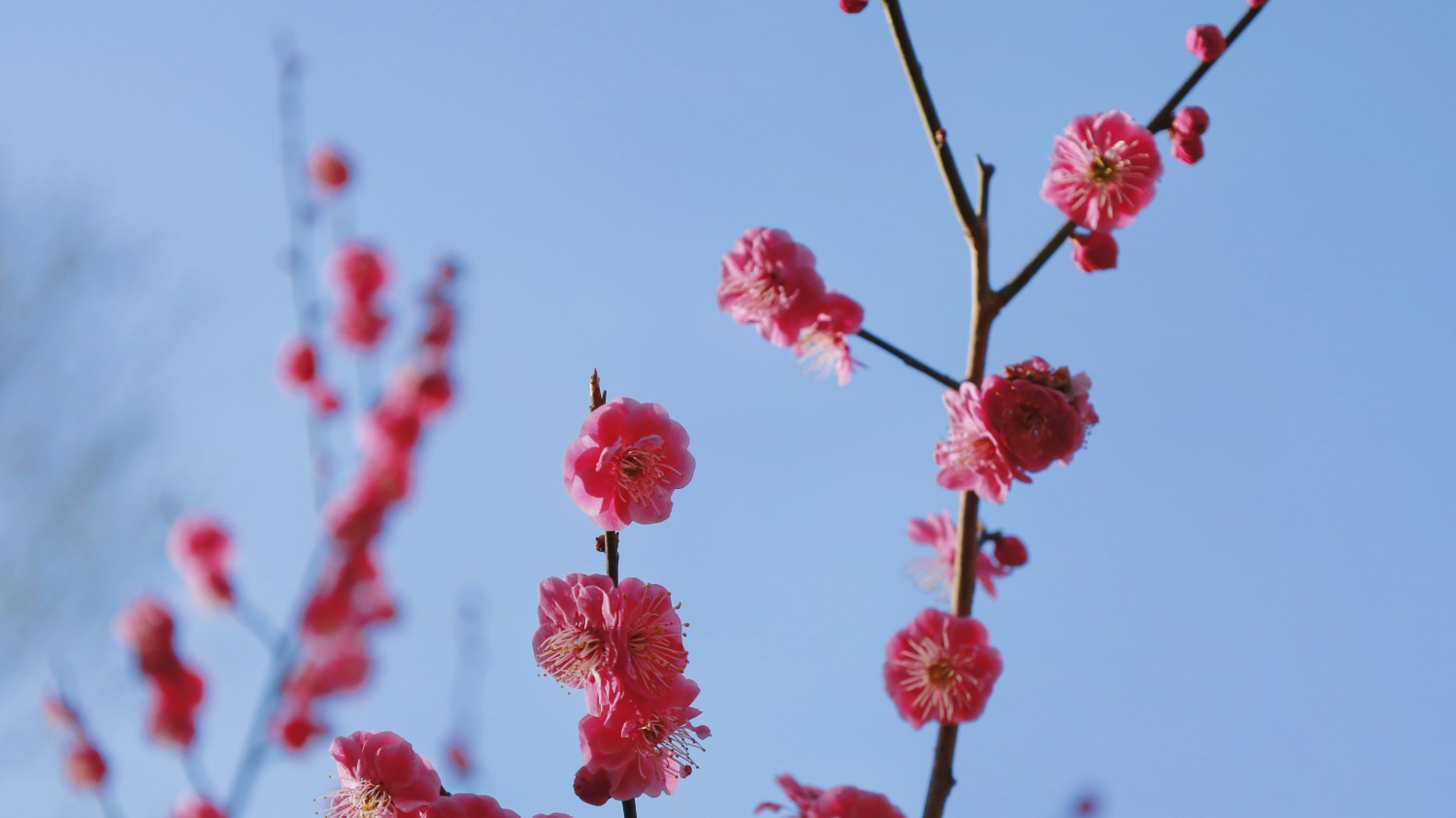 本地搭建网站IP访问统计