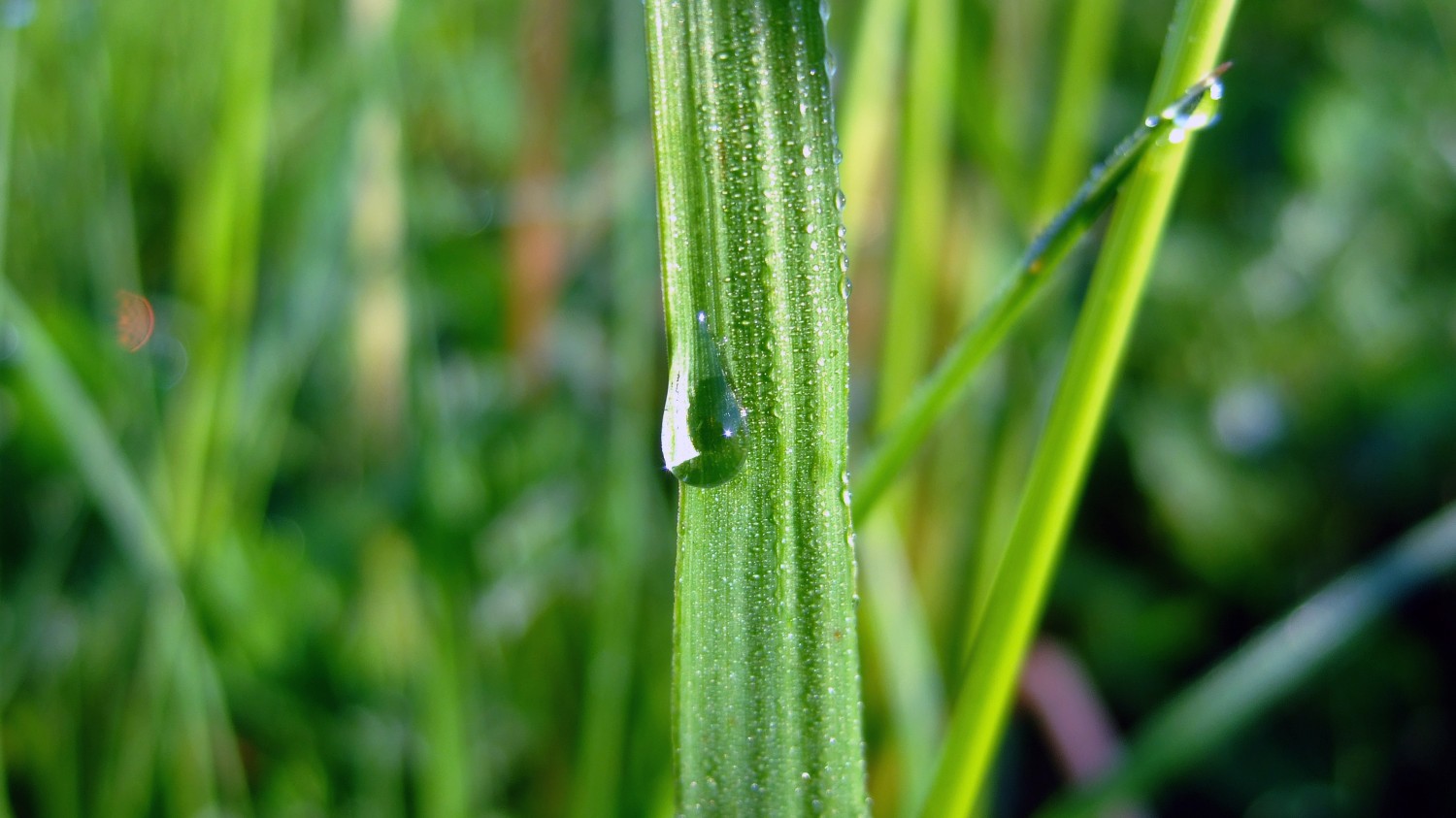 HTML5版本3D电子相册