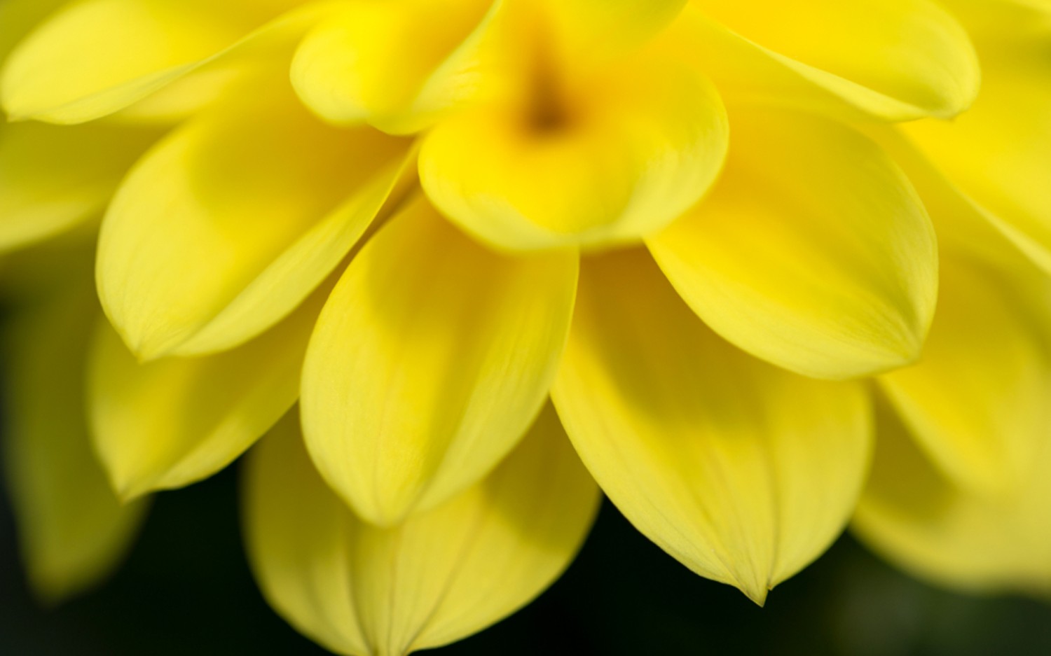 常用的快捷命令